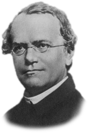 Gregor Mendel